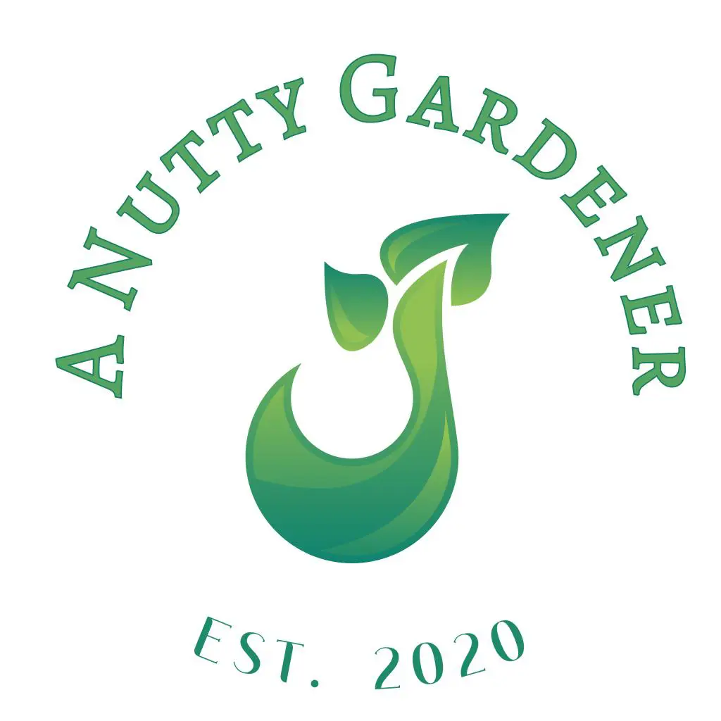 a nutty gardener, Huerta Urbana